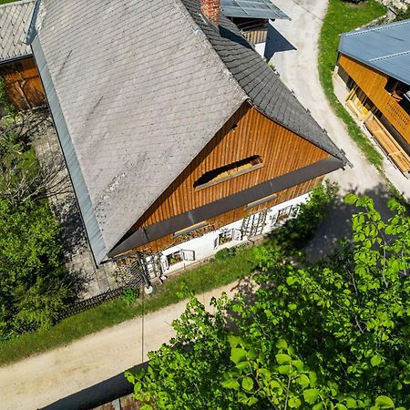House, Garden And A Green Cat Bled Luaran gambar