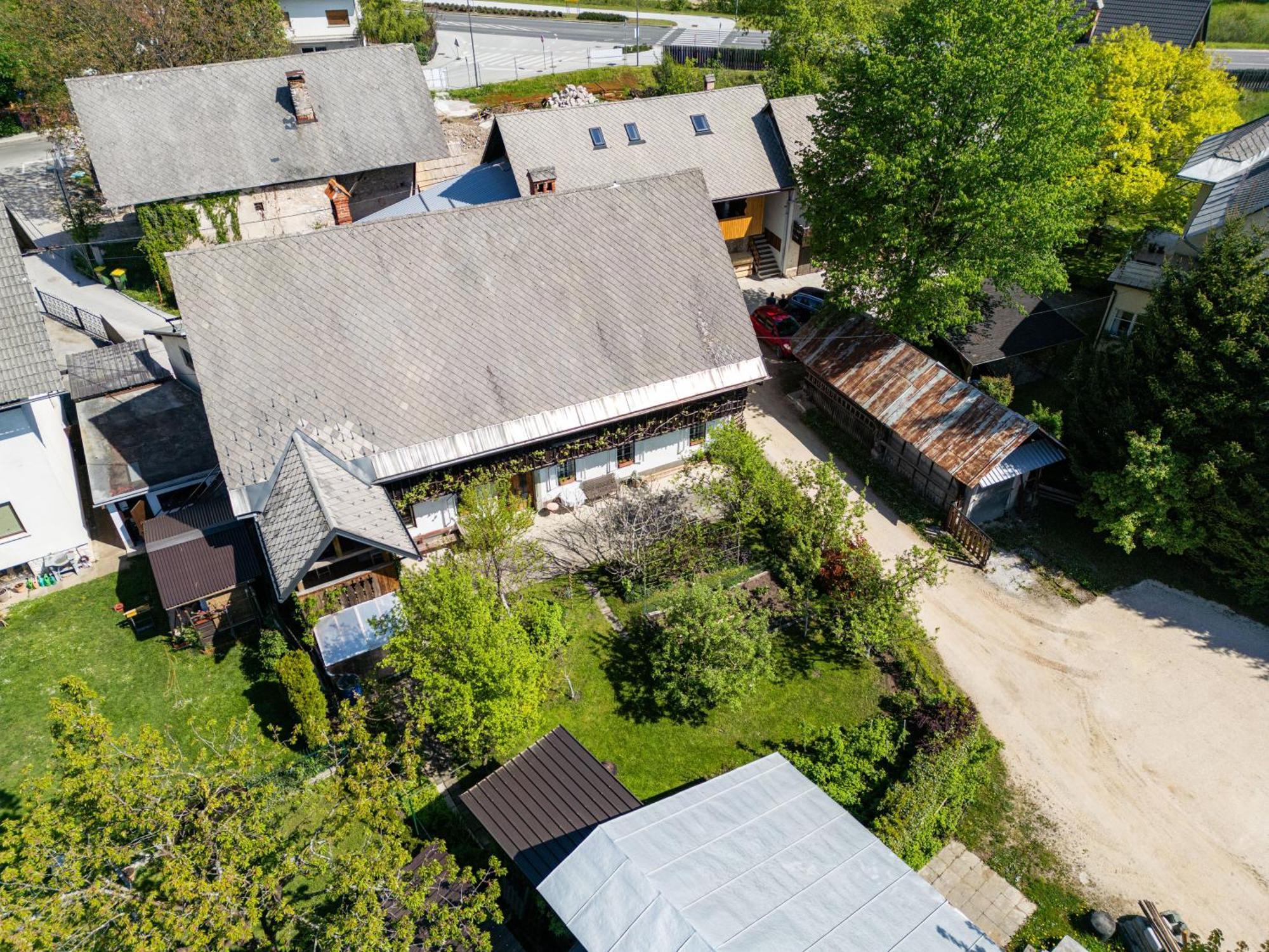 House, Garden And A Green Cat Bled Luaran gambar