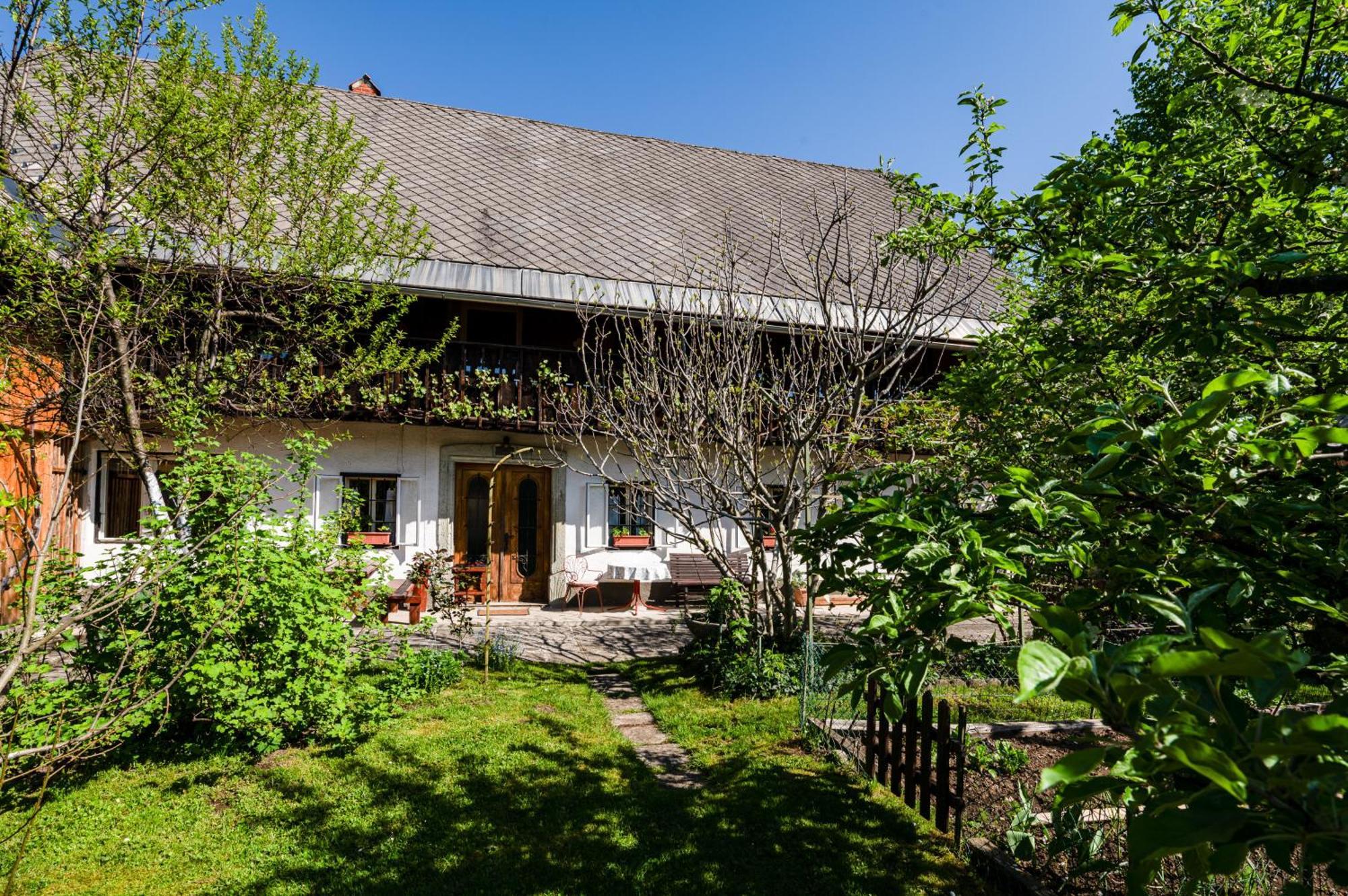 House, Garden And A Green Cat Bled Luaran gambar