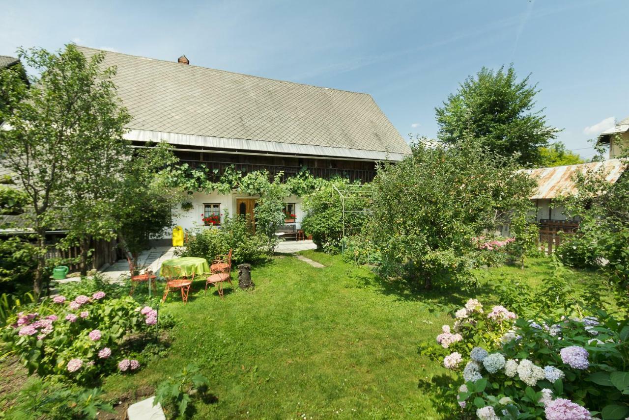House, Garden And A Green Cat Bled Luaran gambar